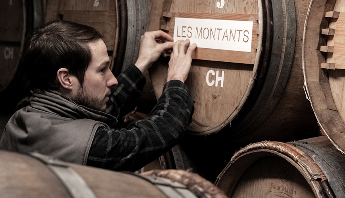 Adrien Renoir: A New Voice in Verzy Grand Cru Champagne