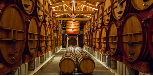 Everything you could possibly want in a bottle of Châteaunef...