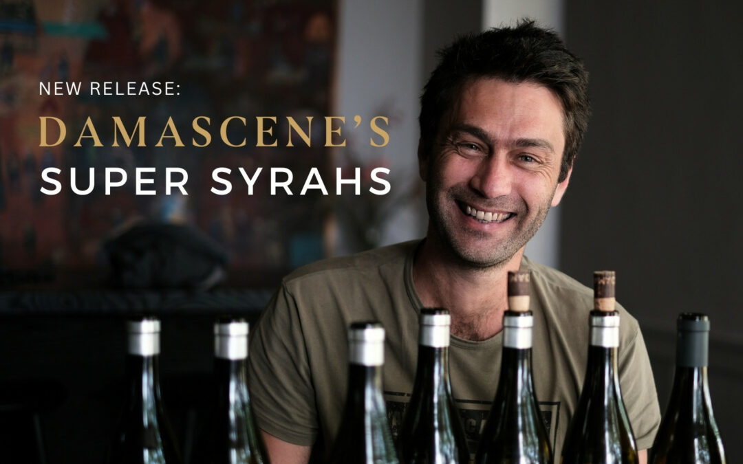 Damascene Stellenbosch Syrah 2023  hot new 98-Pointed release