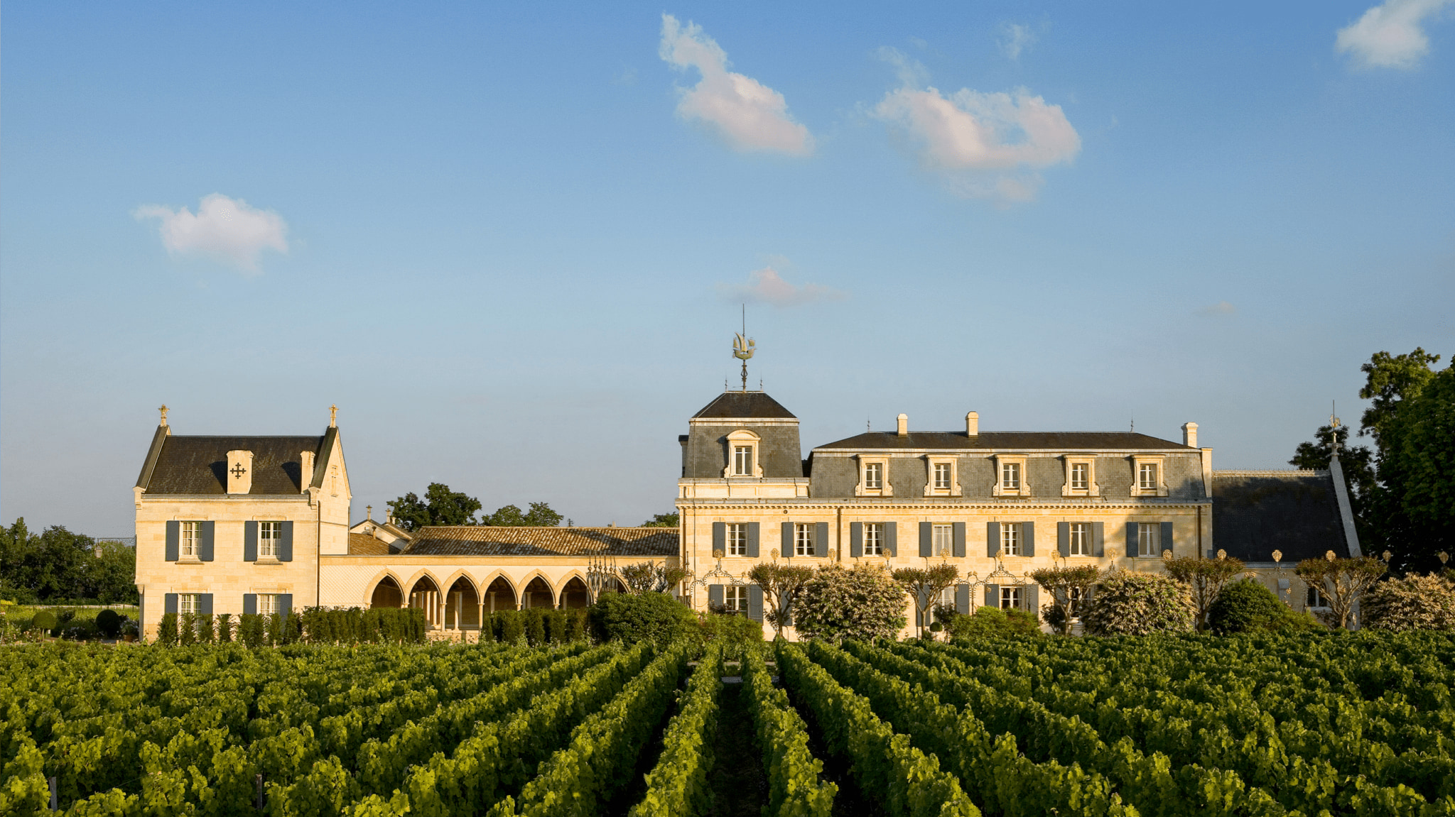 La Mission Haut-Brion 2025 - Galloni's wine of the vintage