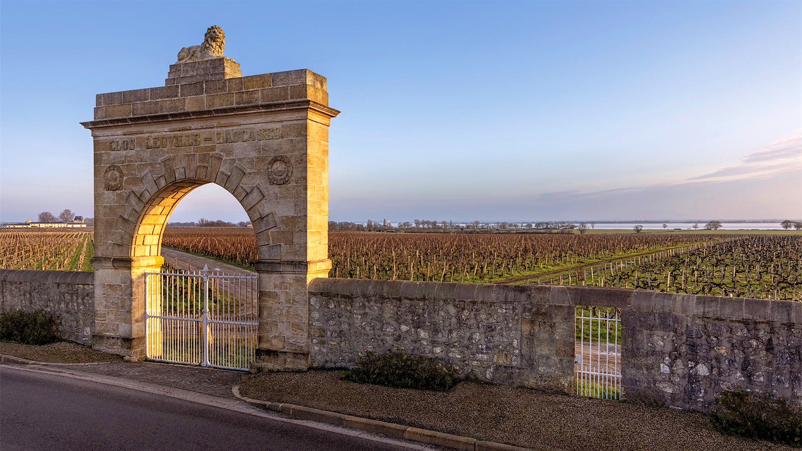 Leoville Las Cases 2025 - A Return to Classical Greatness