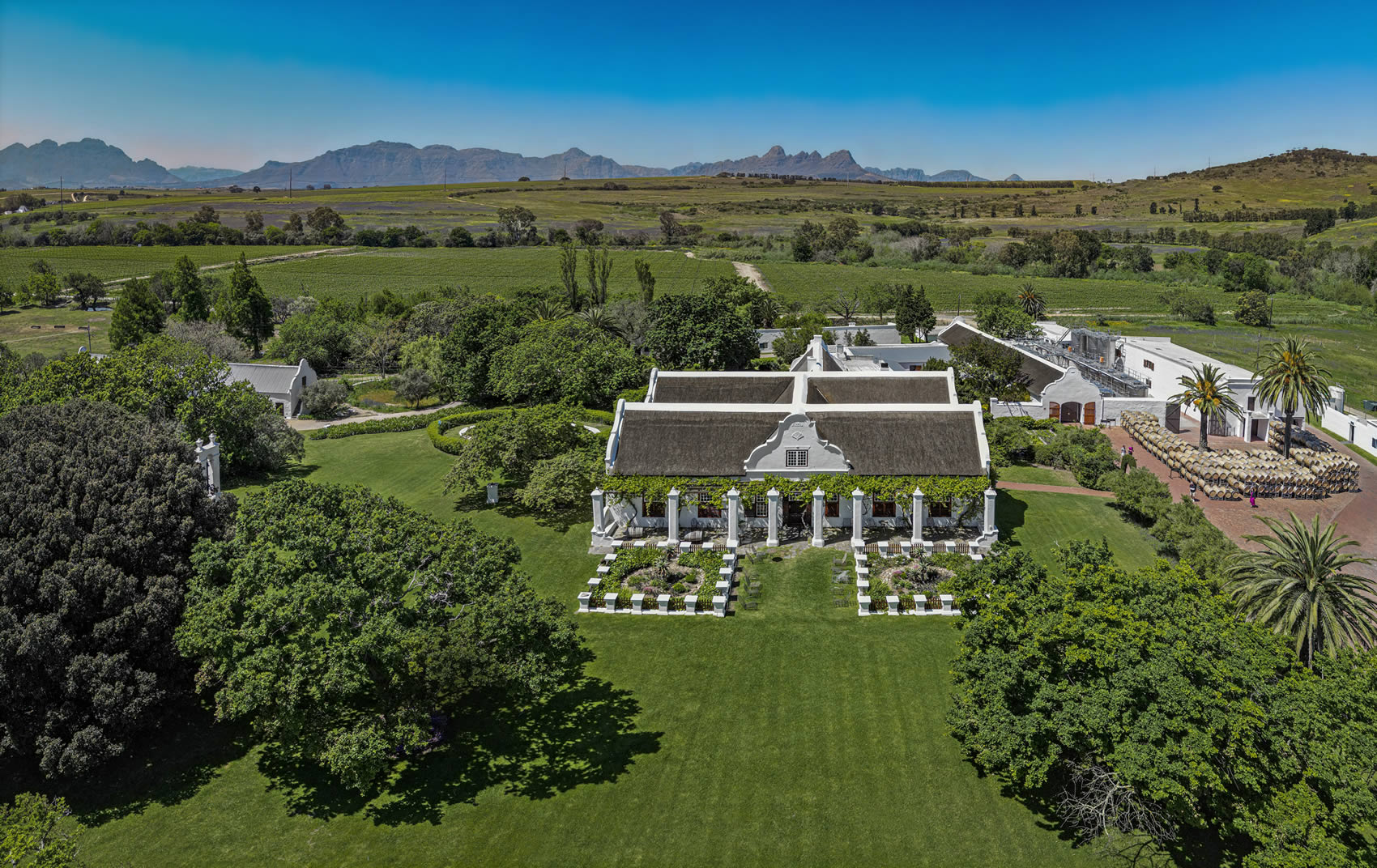 Tim Atkin's 2025 Cape Classification: The Definitive Guide to South Africa's Finest Producers