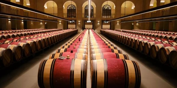 Montrose 2025 - our wine of the vintage - 5x 100-Pointed - Do not miss !