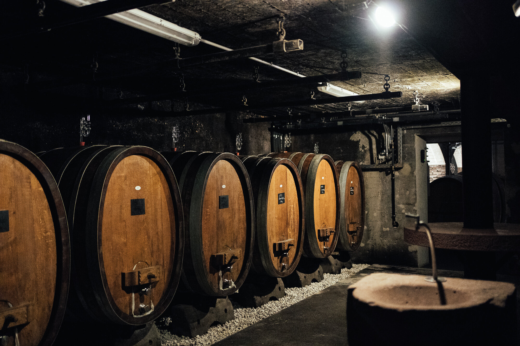 Robert Weil Monte Nostrum Riesling 2024