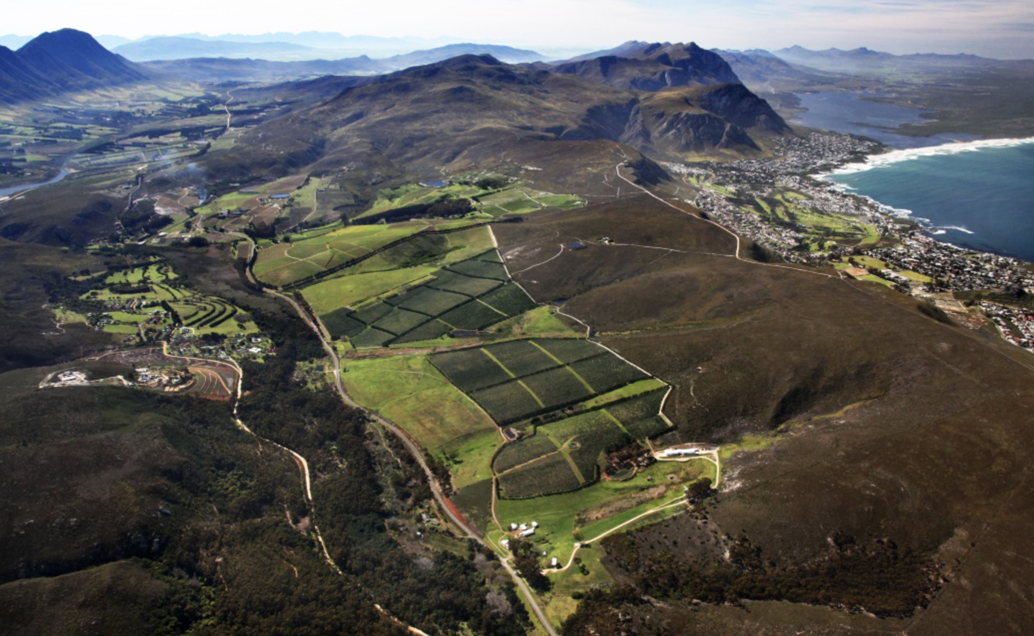 South African Pinot Noir: The Hemel-en-Aarde Story