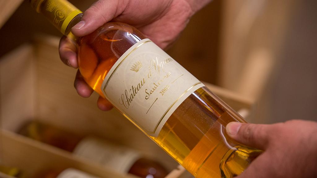 Yquem 2022 - a historic 100-point vintage