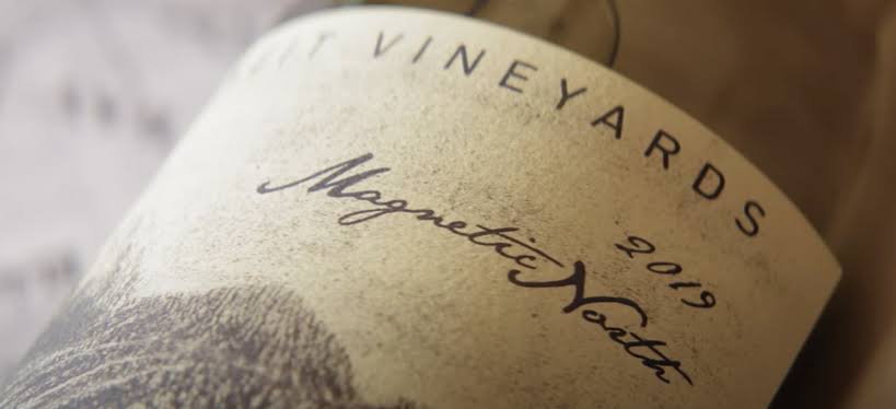 South African Chenin Blanc: The Old Vine Revolution That Changed the Cape