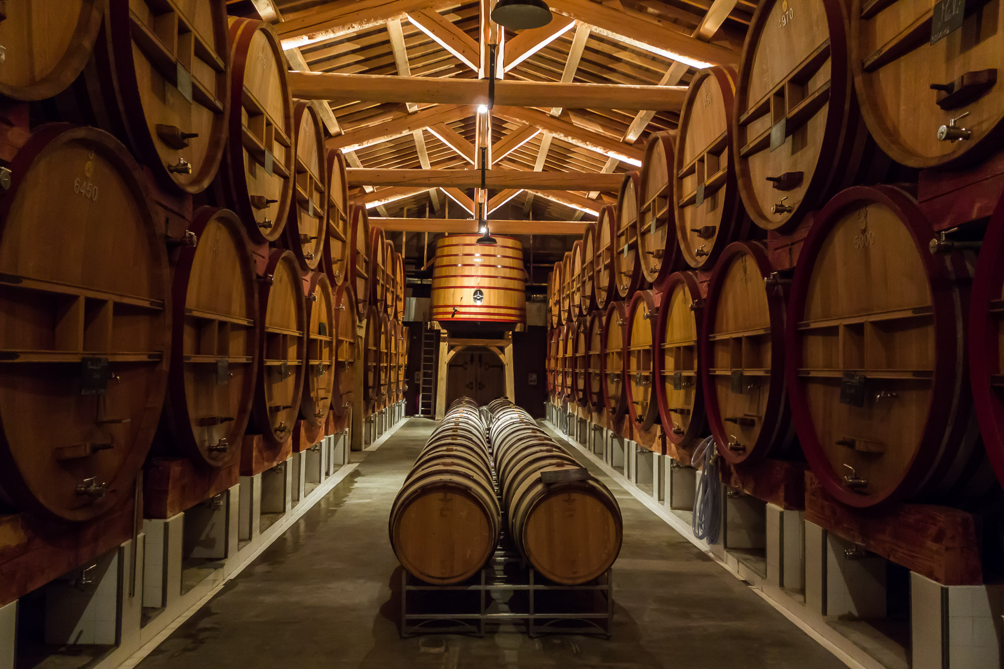 The Montrachet of the Southern Rhône: A Magical White
