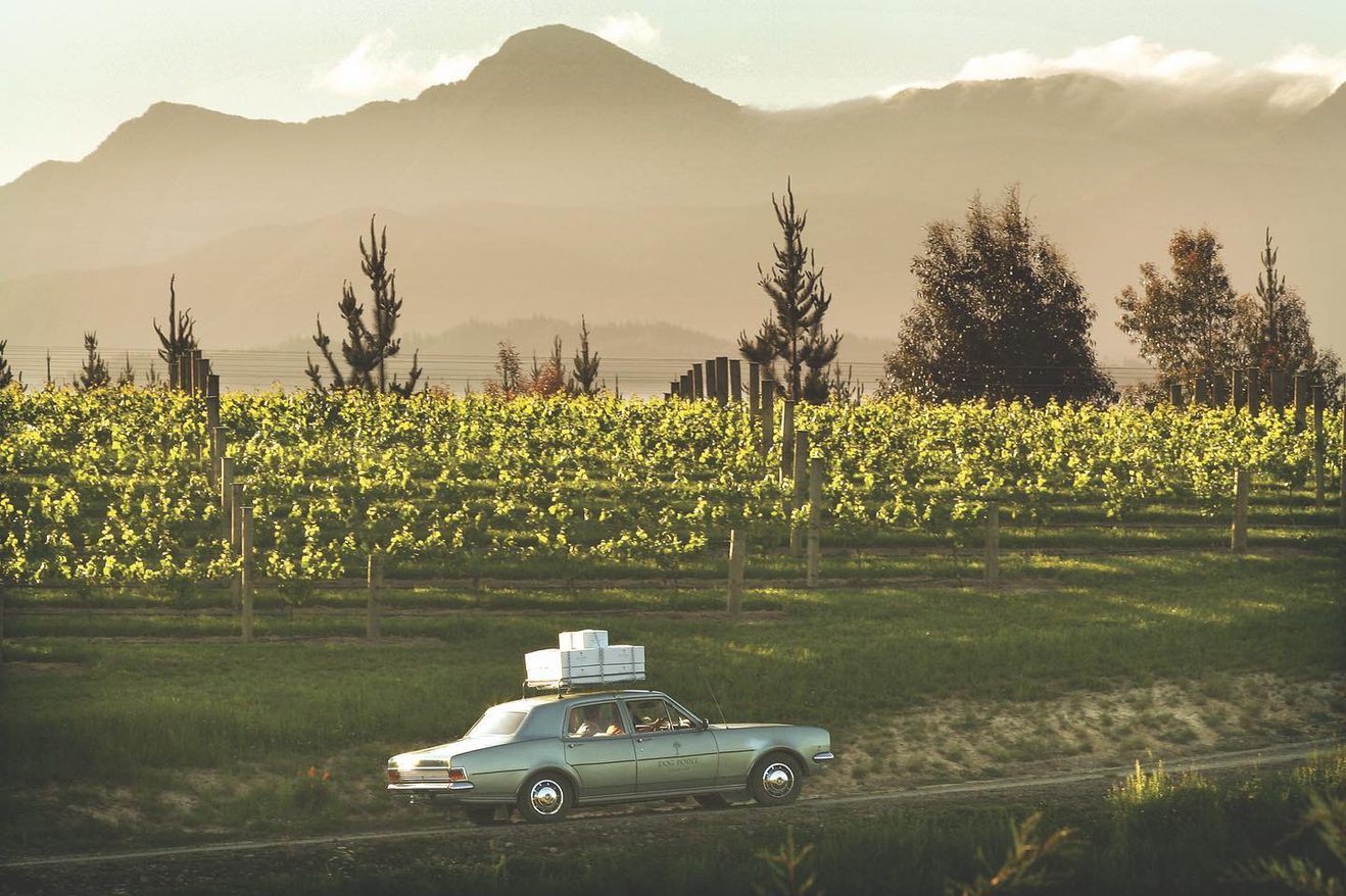 Great value Chardonnay from Dog Poiny - 96 WA 