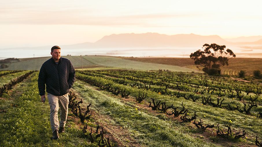 Fire by Night 2023 - Alheit's Brilluant Double 97-Point Chenin