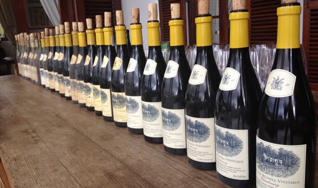 Hamilton Russell Chardonnay 2023 - 95-Pointed Cape Benchmark