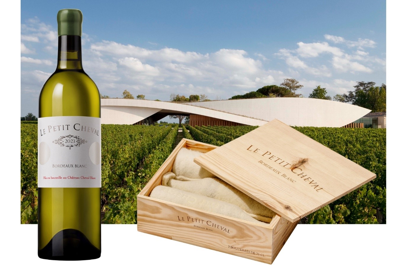 Decanters favourite Le Petit Cheval Blanc to date