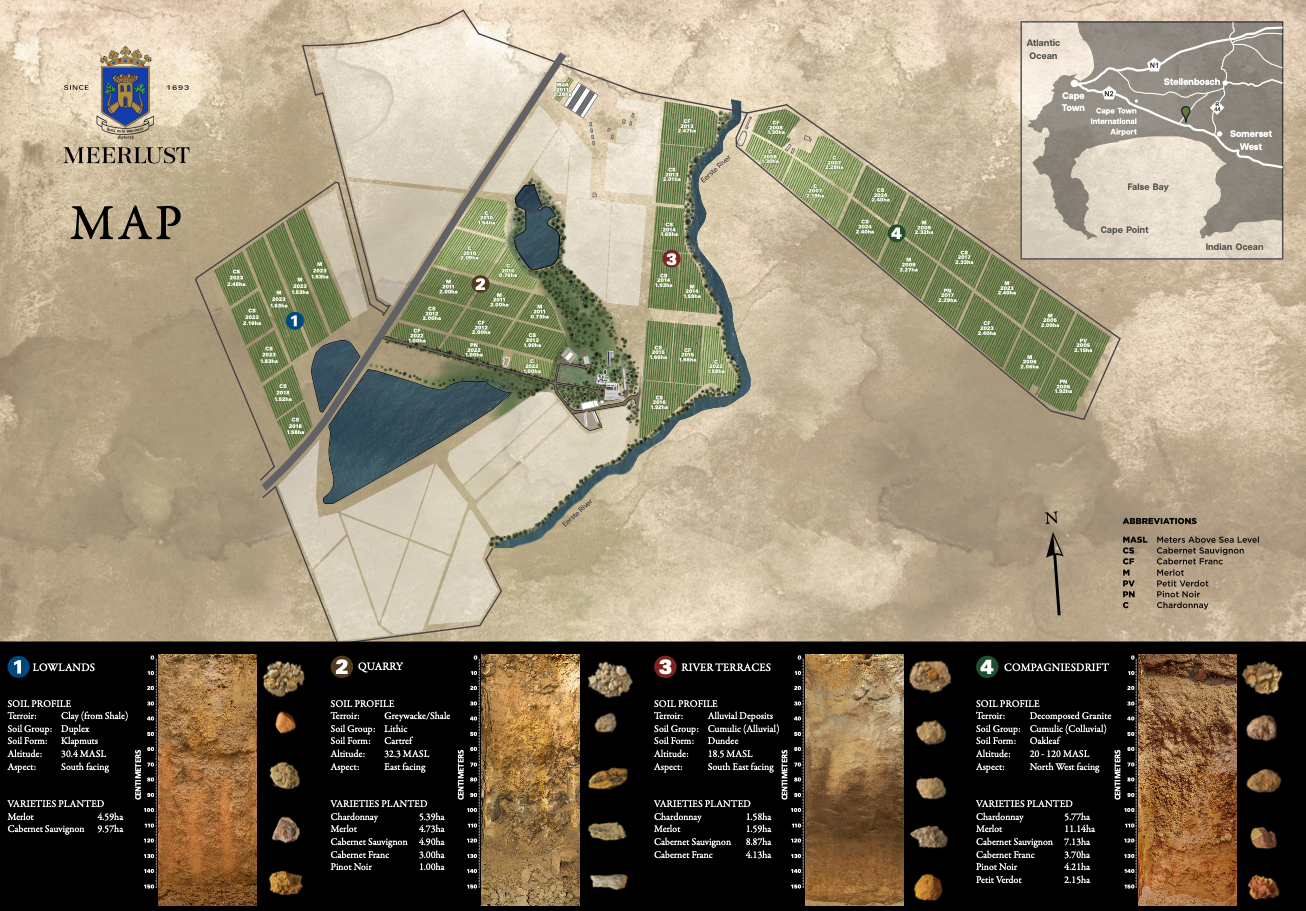 meerlust vineyard map