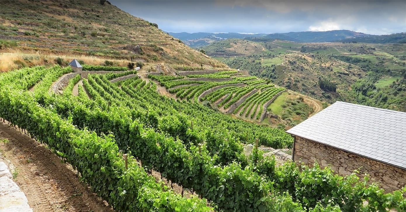 Rafael Palacios As Sortes 2023 - 98 Points - Putting Godello on the Global Map
