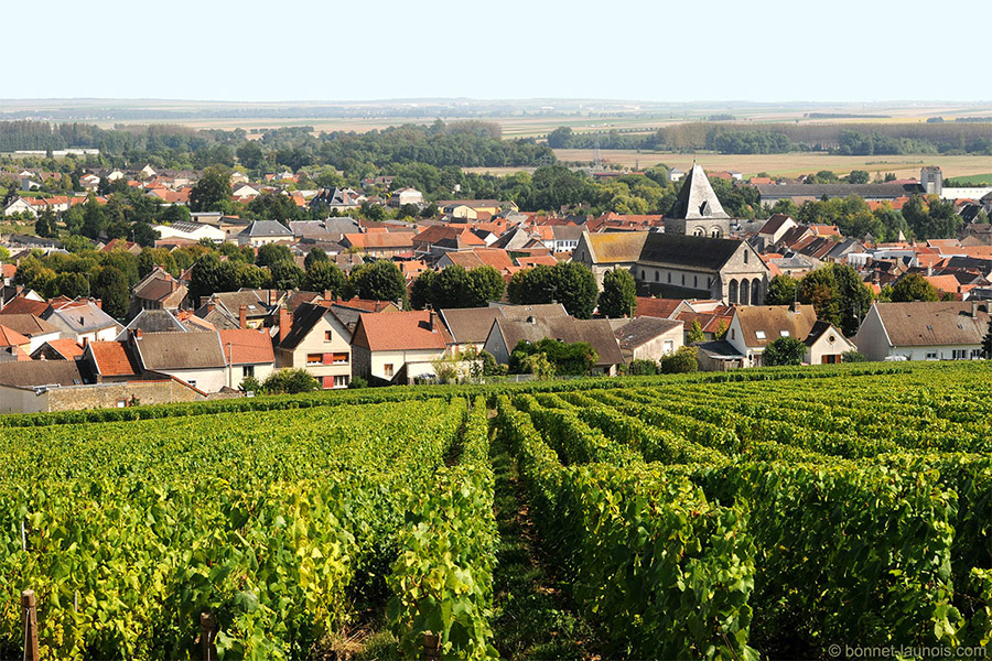 The Unique Terroirs of Vertus: Home to Larmandier-Bernier
