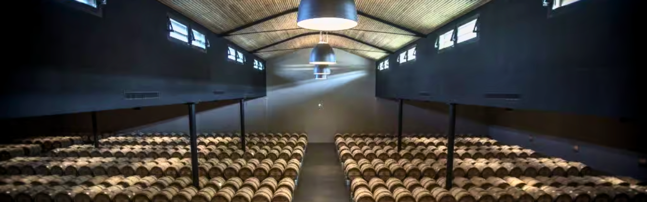 en primeur beginner guide