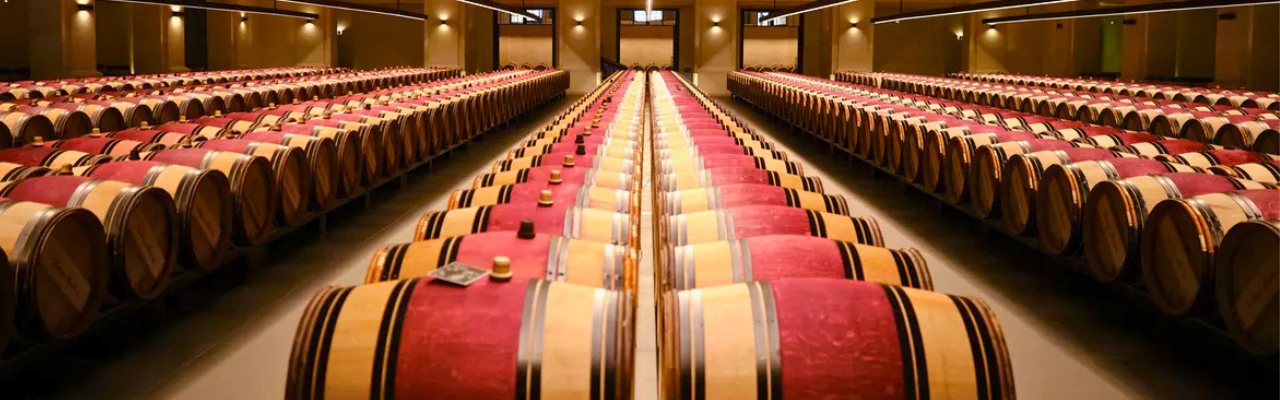 bordeaux en primeur cellar