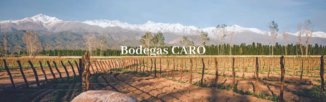 Bodegas CARO