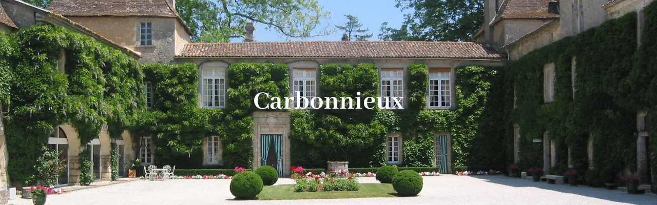 Chateau Carbonnieux