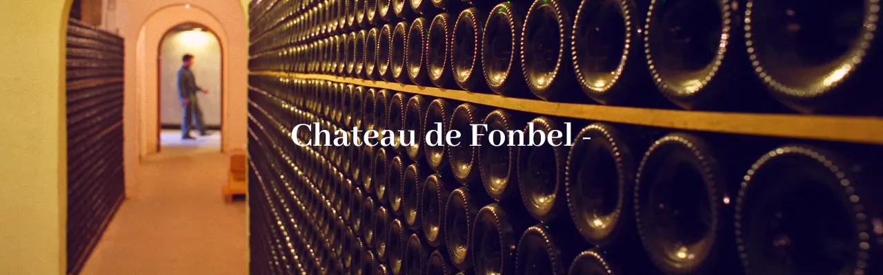 Chateau de Fonbel