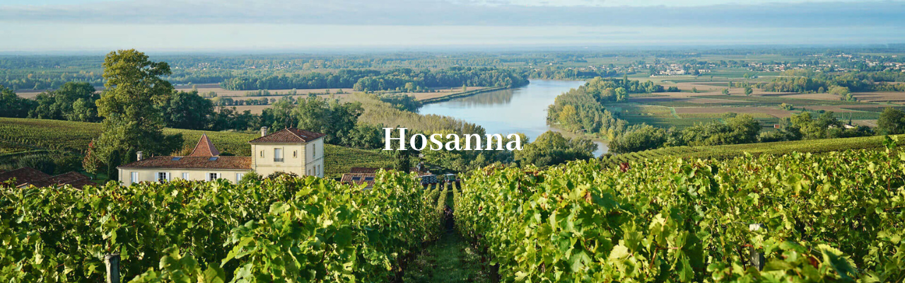 Chateau Hosanna