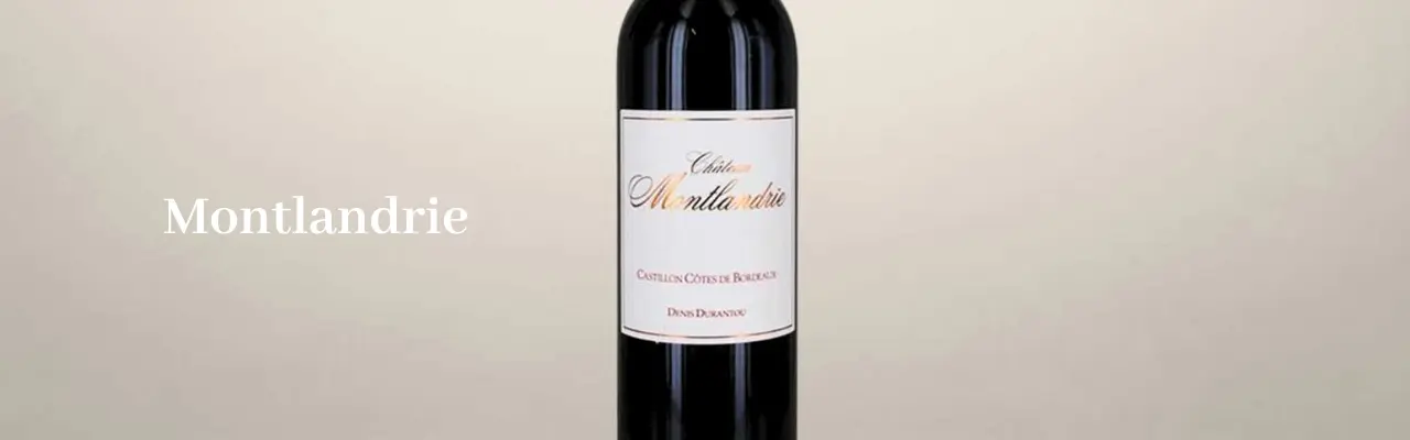 Chateau Montlandrie