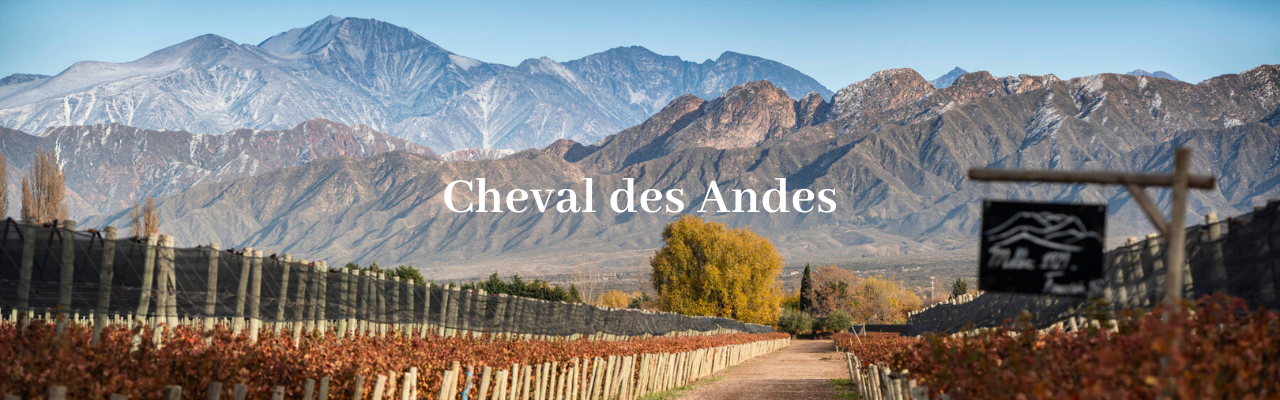 Cheval des Andes