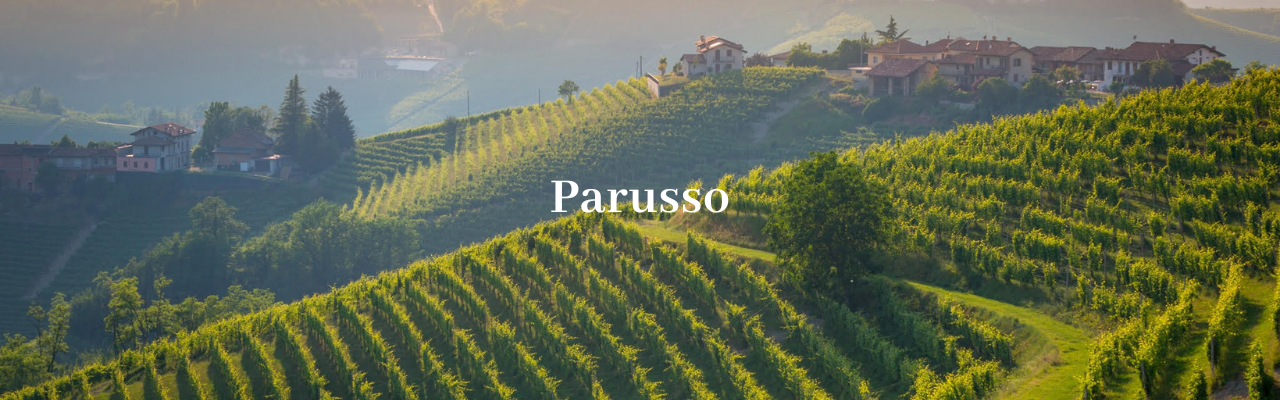Parusso