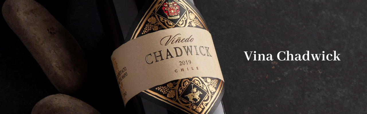 Vinedo Chadwick