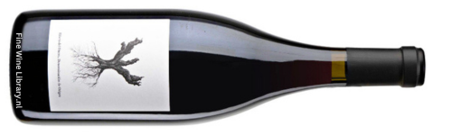 Dominio de Pingus Psi 2011 (Magnum)