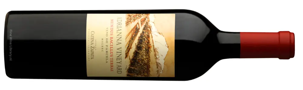 Catena Zapata Adrianna Vineyard Mundus Bacillus Terrae Malbec 2021