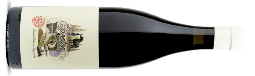 Lukas van Loggerenberg Breton Cabernet Franc 2021