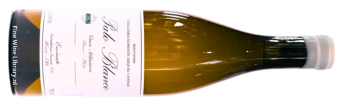 Envinate Palo Blanco 2024