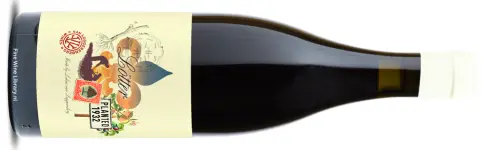 Lukas van Loggerenberg Lotter Cinsaut 2023