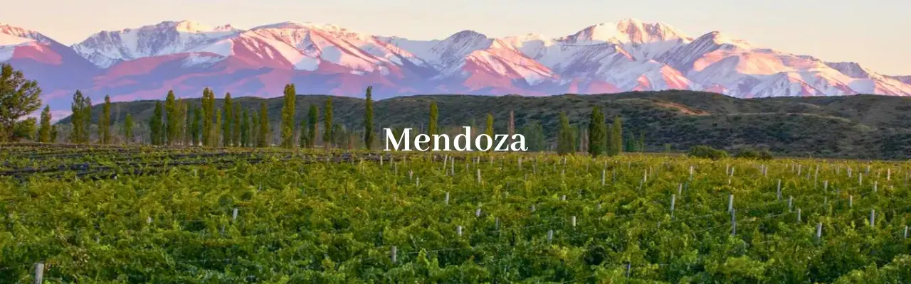 Wine from Mendoza