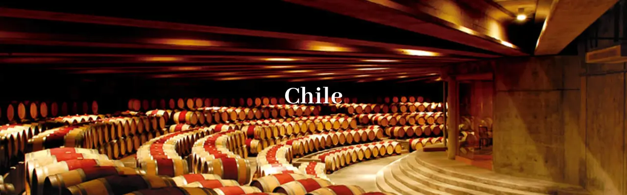 Wine from Chile