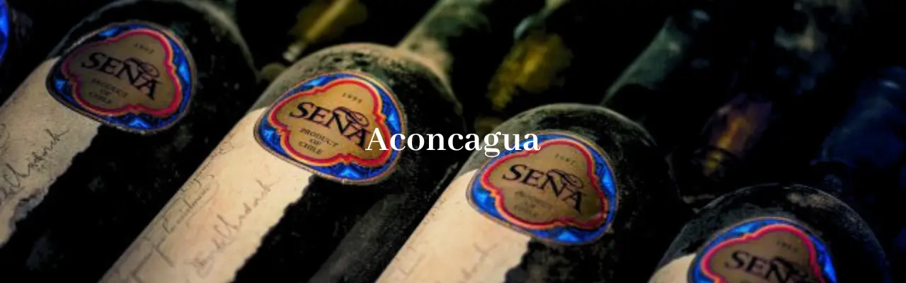 Wine from Aconcagua