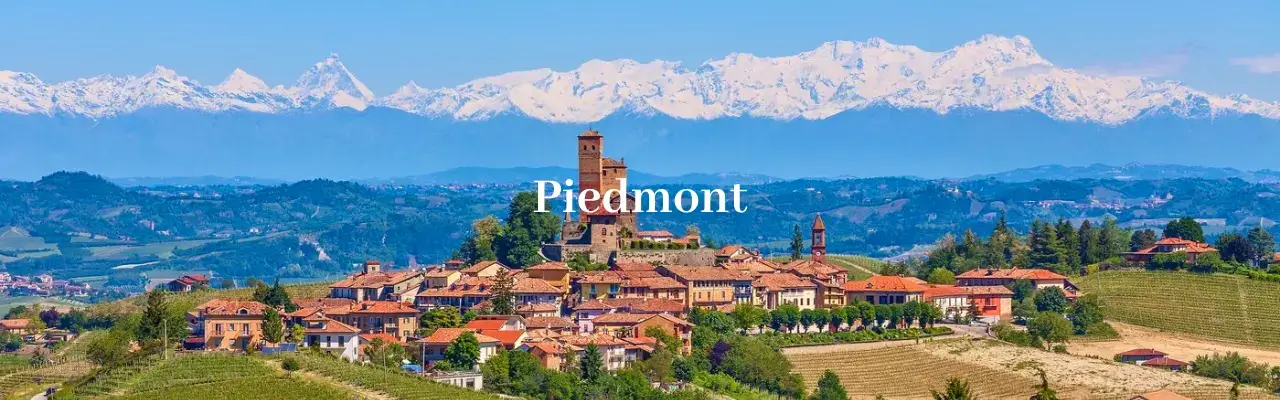 Wine from Piedmont