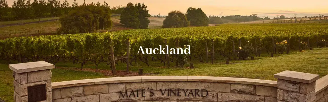 Wine from Auckland