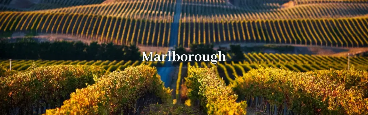 Wine from Marlborough