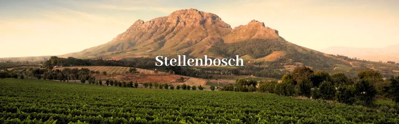 Wine from Stellenbosch