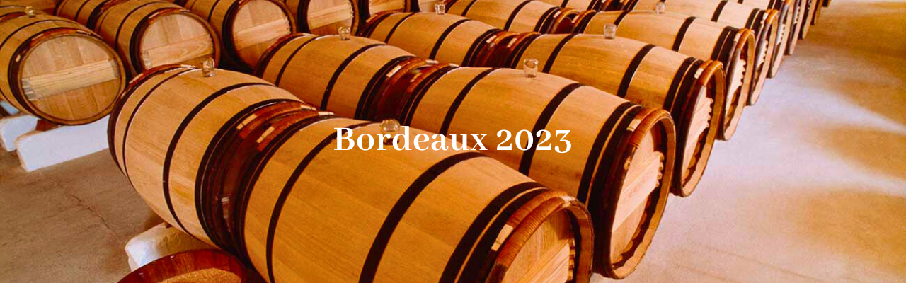 Bordeaux 2023 Vintage